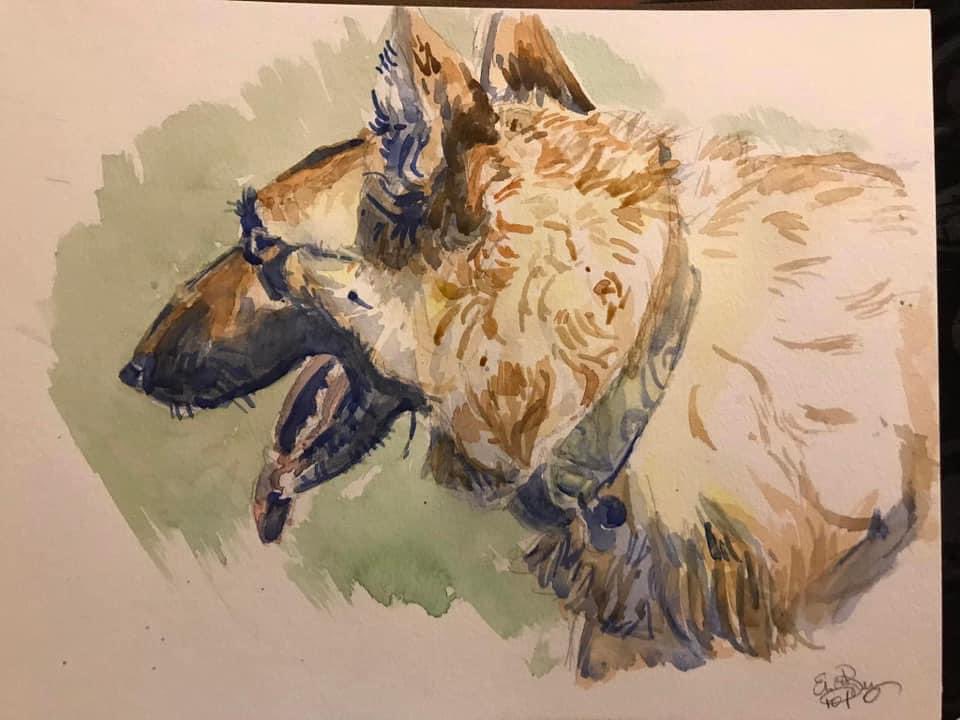 Art commissions for pet portraits now open until May 5th.  $100 for ink on toned paper and $150 for watercolor on 9 x 12” paper.   Horses, dogs, cats, birds etc….  Also would make an excellent Mother’s Day present. #commissions #art #petportraits ##pet #ink #marker #watercolor