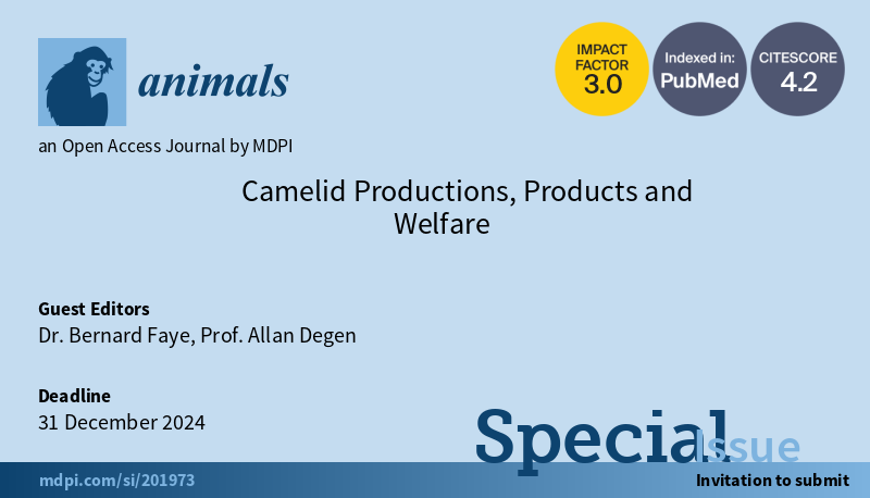 📢Contribute to the Special Issue 'Camelid Productions, Products and Welfare', edited by Dr. Bernard Faye and Prof. Allan Degen. ⏰Deadline for manuscript submissions: 31 December 2024. You can find more information here👉mdpi.com/journal/animal… #camelids #camels