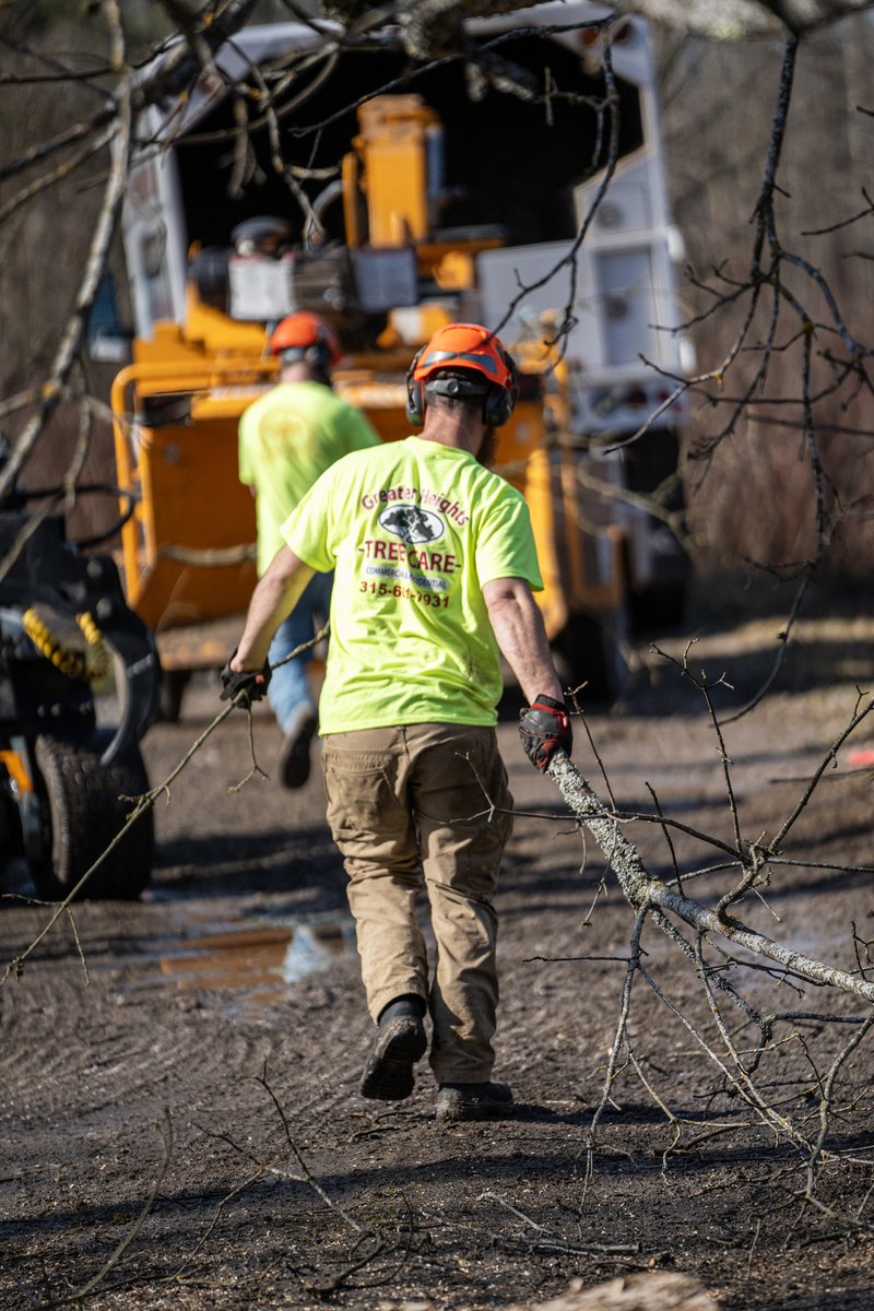 The only 'drag' we experience on a Monday..

#treecare #treeremoval #treecutting #trees #treeclimber #treefelling #treetrimming #treeclimbing #oneidacounty #greaterheightstreecare #greaterheights