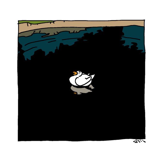 「duck no humans」 illustration images(Latest)