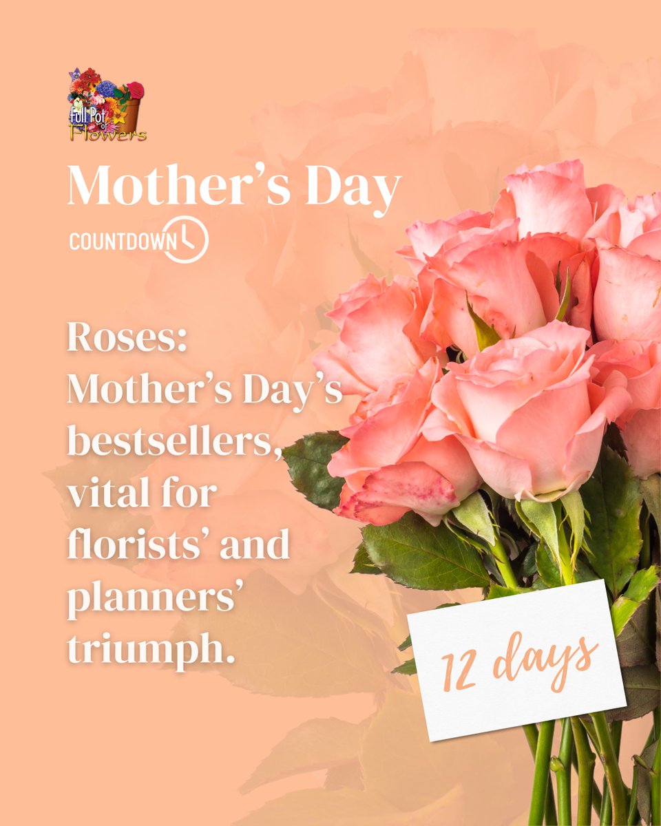 You still have the chance to get the best! The countdown has started! Twelve days to Mother's Day!
#mothersdayflowers #wholesaleflowers #welovefullpot