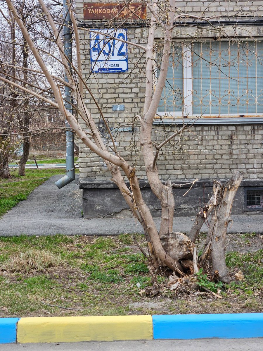 Жители Новосибирска пожаловались на жёлто-голубой бордюр у дома на улице Танковой. «Неправильные» цвета выбрал «союзник с Азии», заявил руководитель управляющей компании, ответственной за двор. «Уже закрашивают. Просто получилась накладка. Там взяли краску пяти цветов, чтобы…