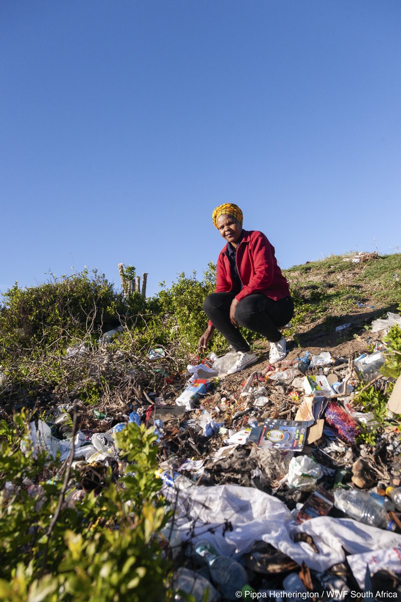 DYK that stamping out plastics in South Africa could create 22 000 additional jobs by 2030? 💼📈 Read Tanya Farber's eye-opening blog as she debunks myths about plastics & shows how phasing out plastics can help *boost* the economy. pulse.ly/qgfbydizgy #StopPlasticPollution