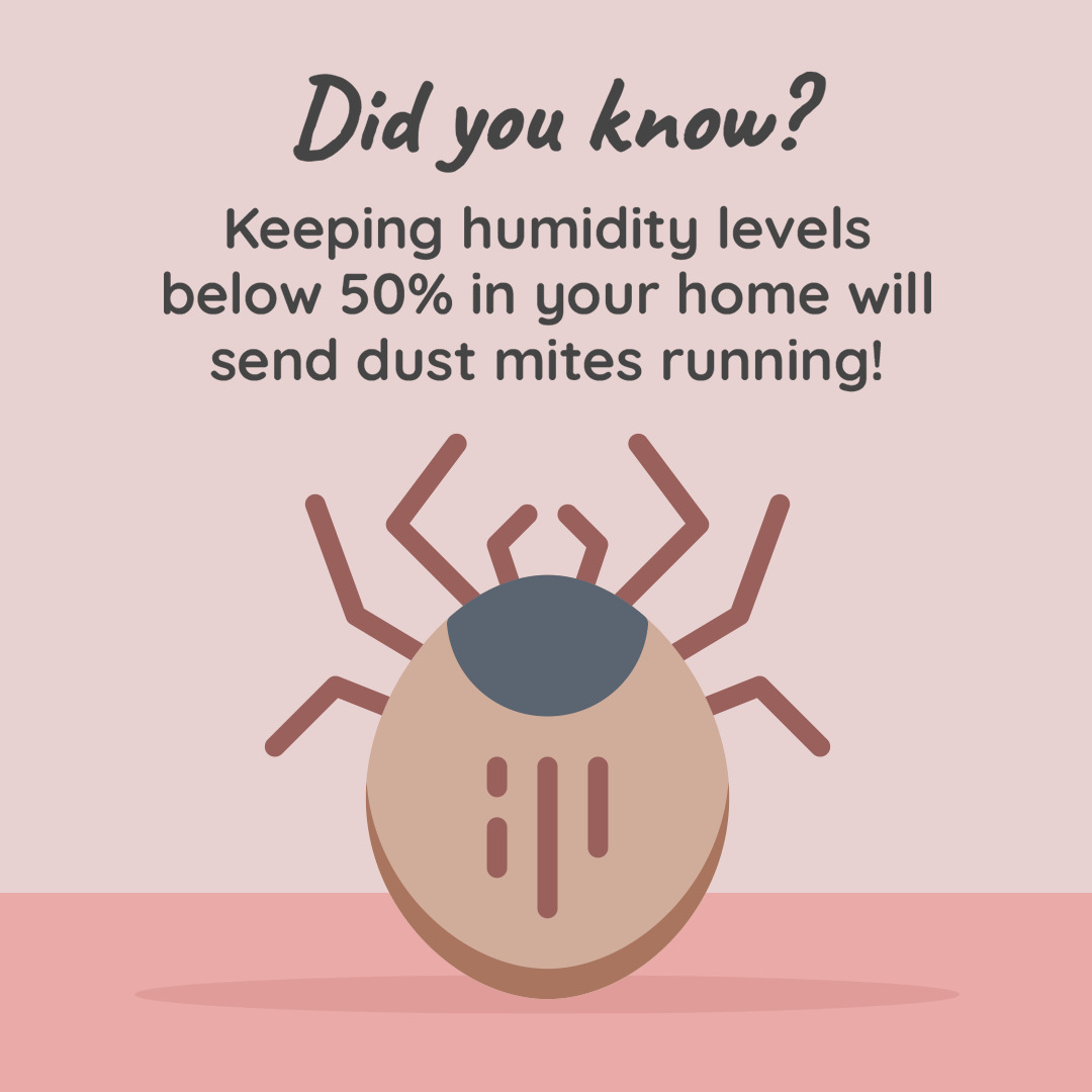 Make sure to keep your home humidity levels under 50% to keep away dust mites!

#hvac #hvaclife #hvactechnician #hvacservice #hvactech #heating #plumbing #cooling #ac #heatingandcooling #hvactools #hvaccontractor #contractor #hvacquality #maintenance #hvachacks #hvactips