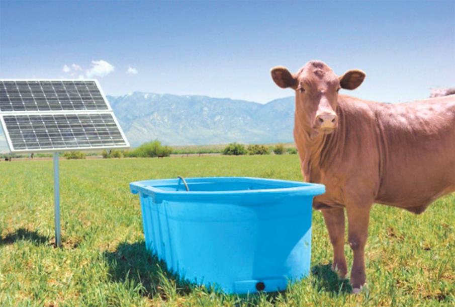 Sun Pumps is a 22-year-old company that supplies solar pumps and parts for livestock waterers, irrigation systems, home water systems, and grid-tie solar systems. #solarpumps #livestockwaterers #irrigationsystems #solar           farmshow.com/a_article.php?…
