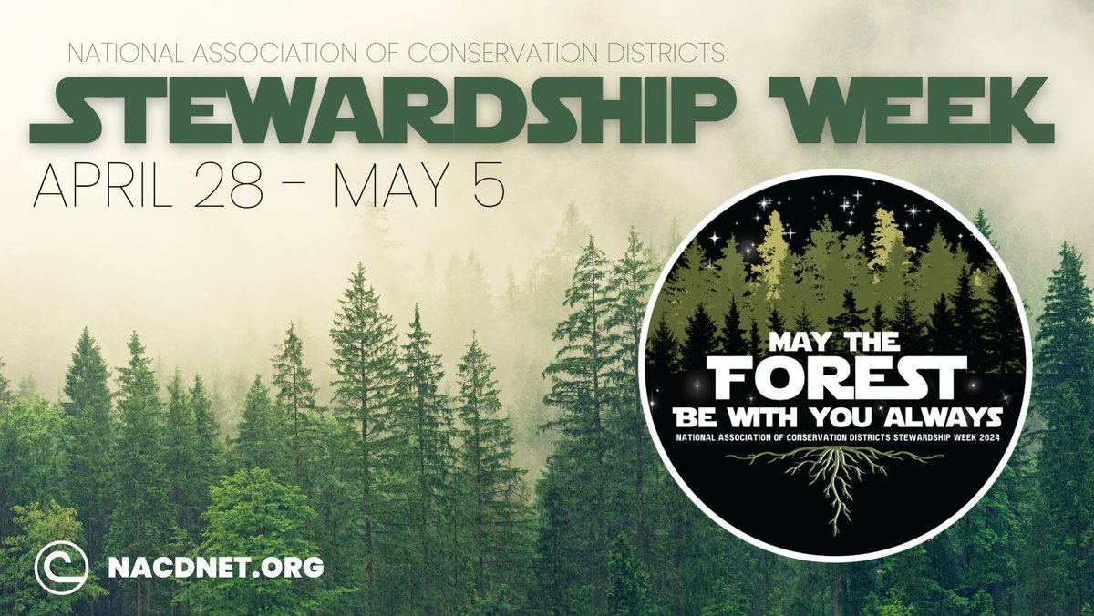 Forests are vital ecosystems that support diverse plant and animal life, provide clean air and water, as well as help combat climate change by absorbing carbon dioxide. This week we are joining in NACD's Stewardship Week to celebrate the many benefits of trees!
