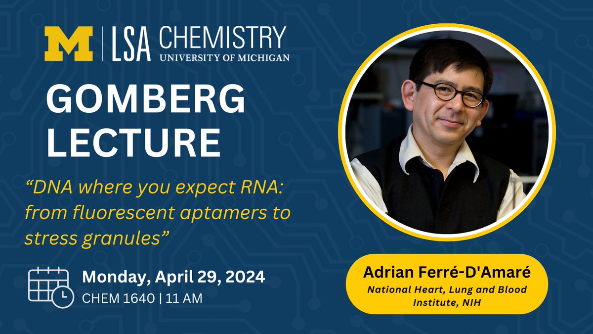 Today's #MichiganChem Gomberg Lecture Speaker is Adrian R. Ferré-D'Amaré from National Heart, Lung and Blood Institute, NIH. ⏰ When: Today, 11am 📍 Where: CHEM 1640