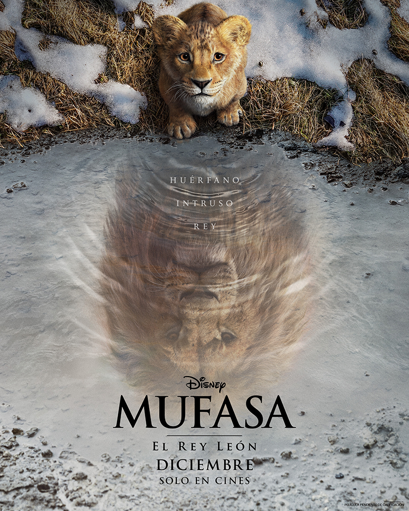 Huérfano, intruso, rey. #Mufasa: El Rey León. 20 de diciembre solo en cines.