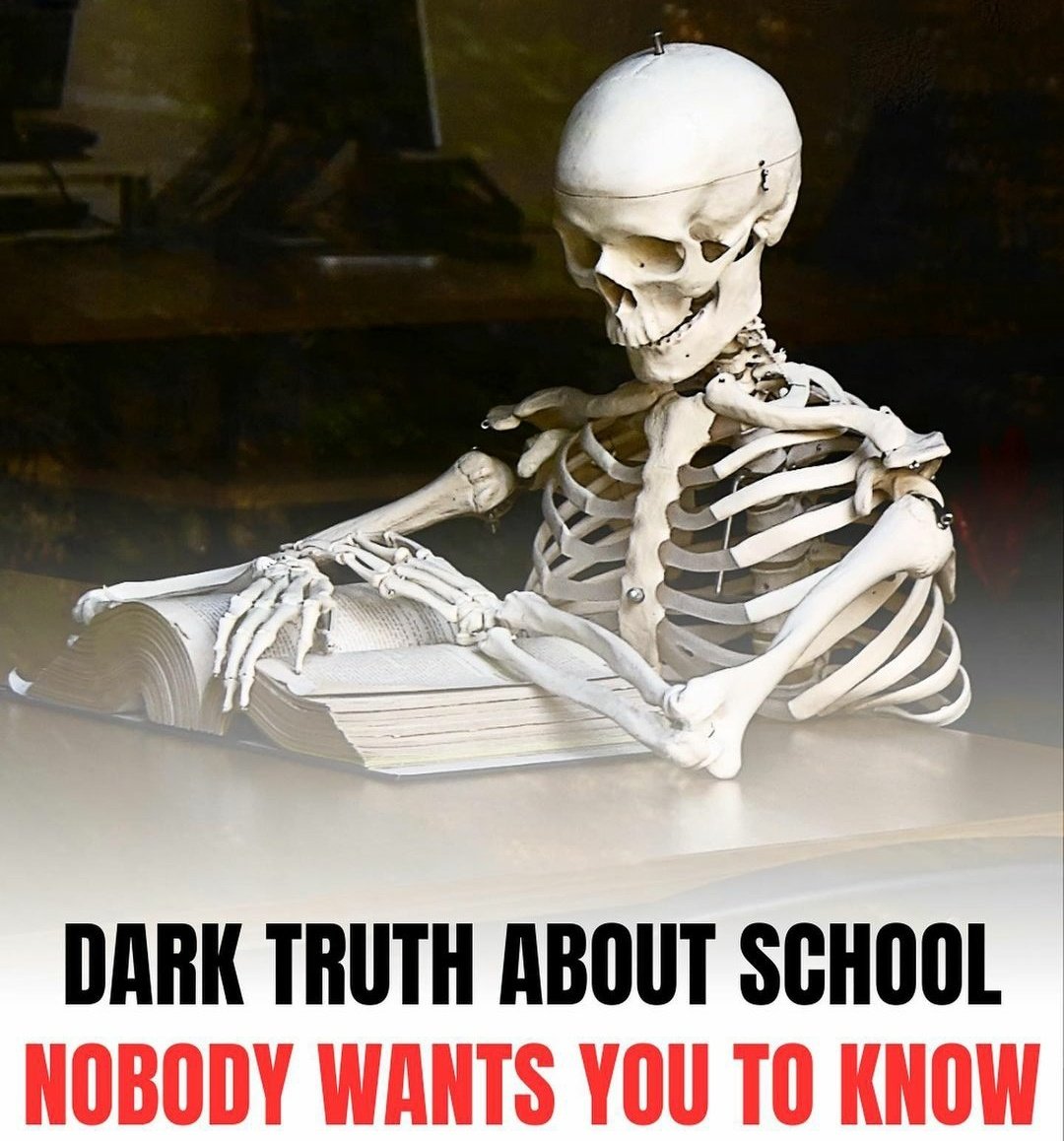 DARK TRUTHS ABOUT SCHOOL nobody wants you to know: -thread-