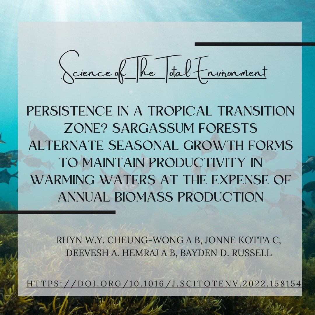 Today we take the opportunity to highlight some work by the MARBEFES team! First, a look at seasonal changes in seaweed growth based on warming climates. Check it out in the link here -> doi.org/10.1016/j.scit…