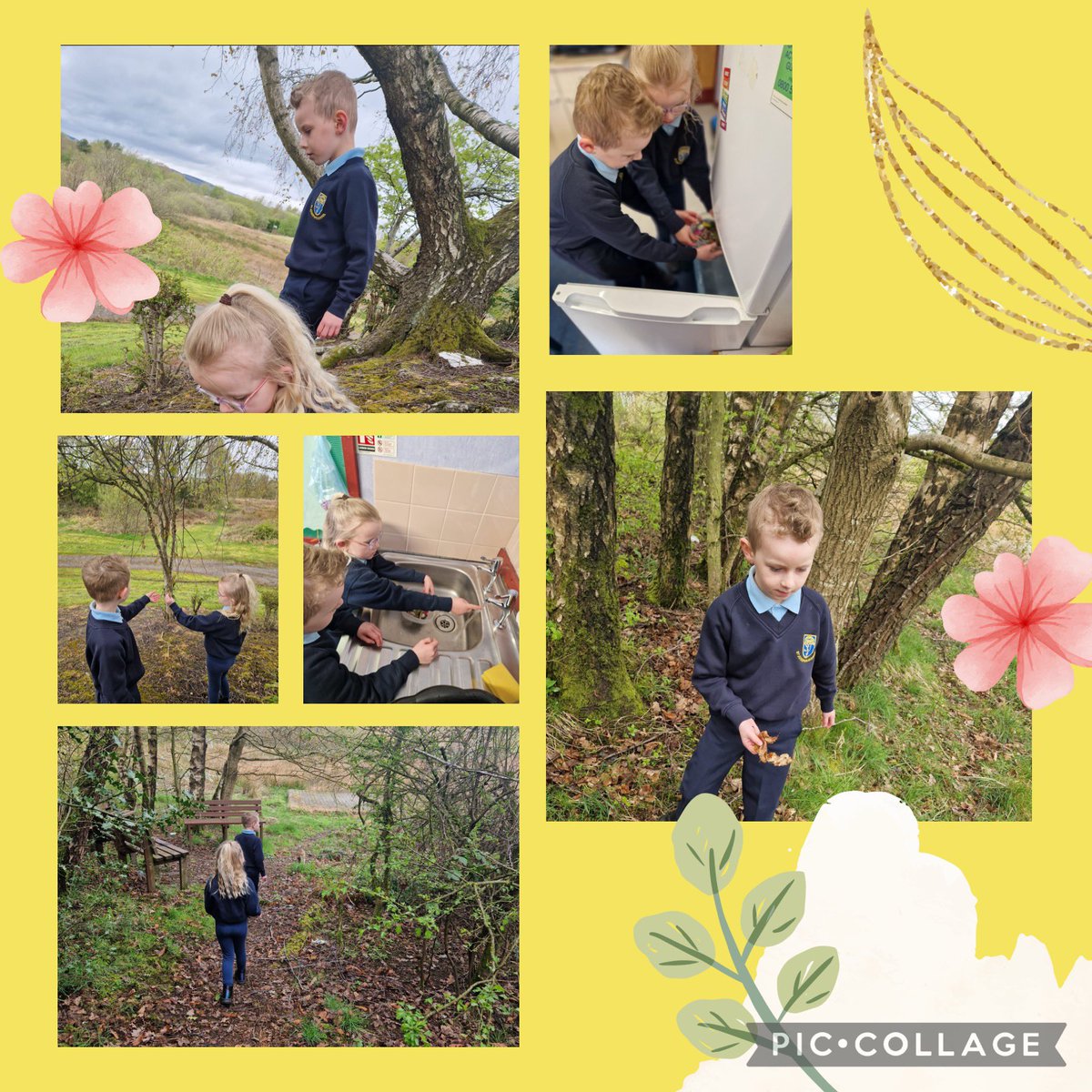 MrsOJoe's tweet photo. Thank you for bringing in leaves and twigs. I and L went looking for more leaves, twigs and petals for our next water experiment. We will find out how long it will take for the items to defrost in the block of ice. π§ #changingmatter #STEM #solid #liquid @stjosephsps https://t.co/Zy1ascTWHT