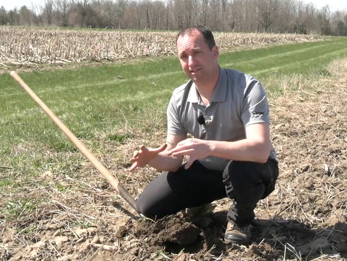 Tillage can play an important role in weed control but integrating other tools makes for better strategy, says <a href="/RobMillerAg/">Rob Miller</a> <a href="/BASFAgSolutions/">BASF Agricultural Solutions Canada</a>. Check out our chat on #Soybean School <a href="/realagriculture/">RealAgriculture</a> tinyurl.com/y3rkadfs