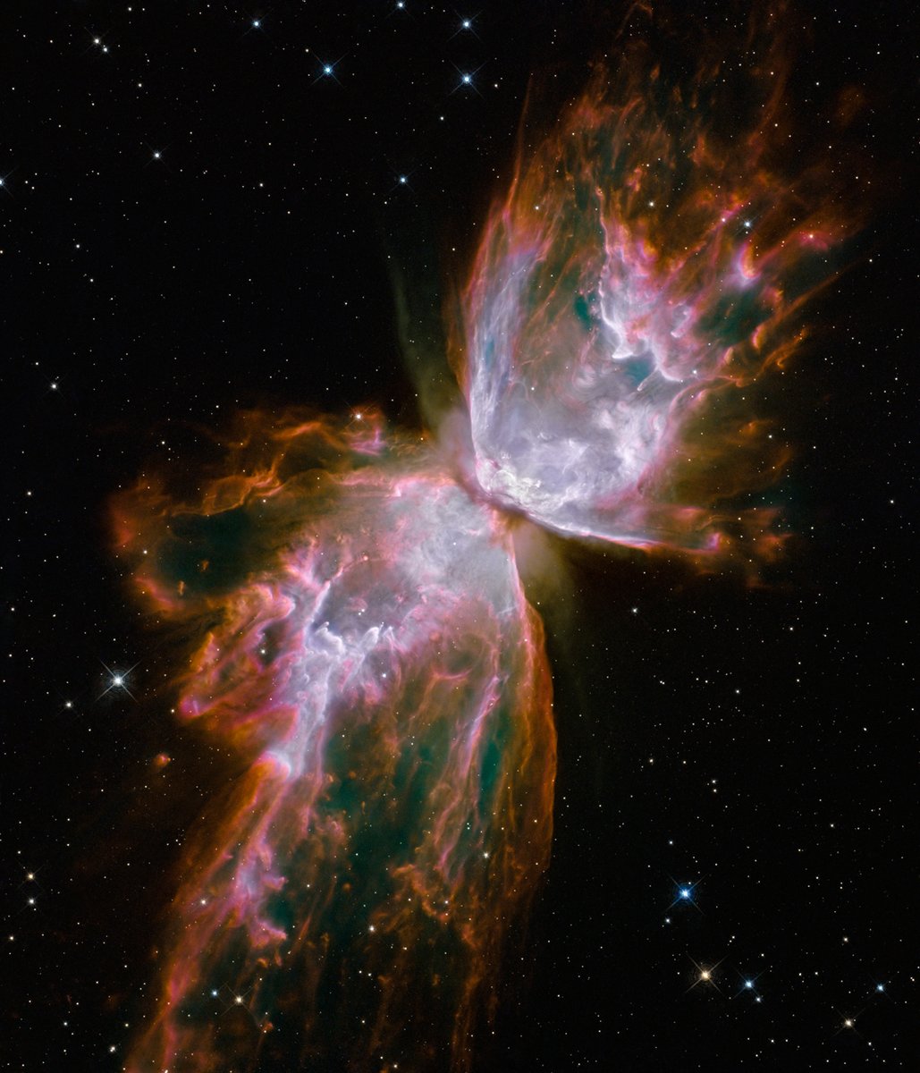 This butterfly in space is anything but delicate! 🦋 In 2009, Hubble imaged planetary nebula NGC 6302, which formed after the death of a star or pair of stars. Its “wings” are the result of hot gas traveling at up to 1 million miles (2 million km) an hour: bit.ly/4943FDE