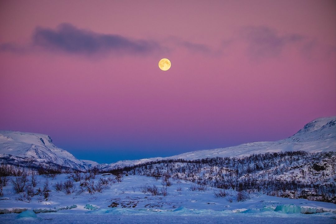 Discover the enchanting magic of #SwedishLapland! 🇸🇪🌌 Stand on crunchy snow, see adorable wildlife & gaze up at the northern lights 🤩 #TravelDreams #MondayMotivation 📷 IG/felipemenzella