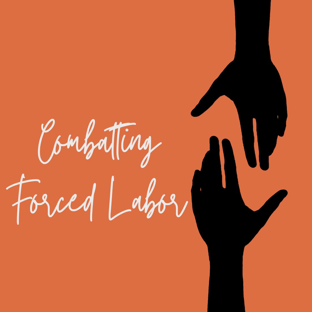 Education & empowerment are crucial in the fight against forced labor. Training migrant workers, supporting survivors, and fostering entrepreneurship can change lives. Let's unite to provide skills for a brighter, exploitation-free future. links.freetheslaves.net/Donate Source: ILO