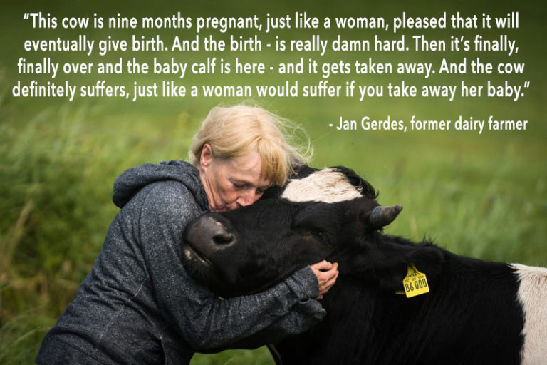Jan Gerdes, a former dairy farmer, explains why they could not stay in the industry 🐄