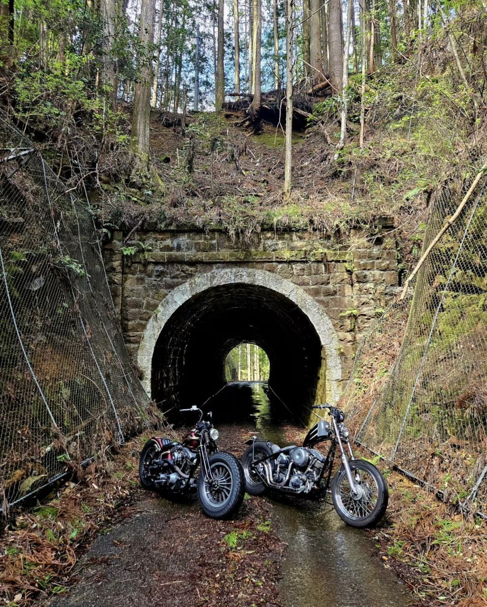 Tunnel of love... photo: @mai.shovel1976 #choppershit #choppers #rideeverywhere #motorcycles #choppers #chopshit #shovelhead #shovellove