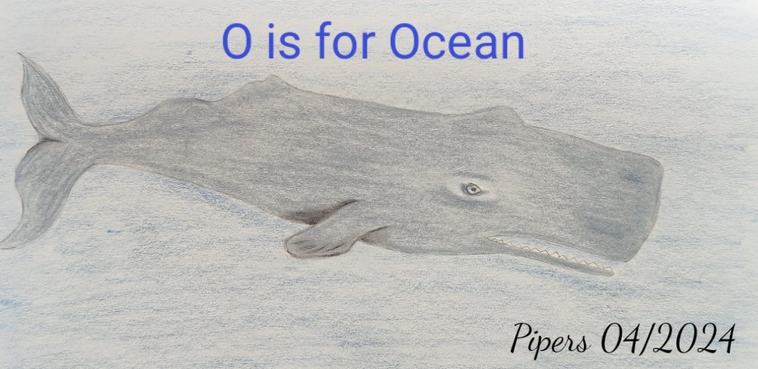 O is for Ocean @AnimalAlphabets Here is a giant of the oceans🐳🌊 Happy AAMonday everyone!🌊 #animalalphabets #illustration #pencilsketch #drawing #whale #ocean