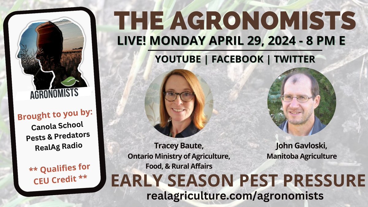 Tune in to #TheAgronomists LIVE TONIGHT at 8 pm E for a discussion on early season #pest pressure w/ @TraceyBaute of @OMAFRA and @Johnthebugguy of Manitoba Agriculture #cdnag #ontag #westcdnag