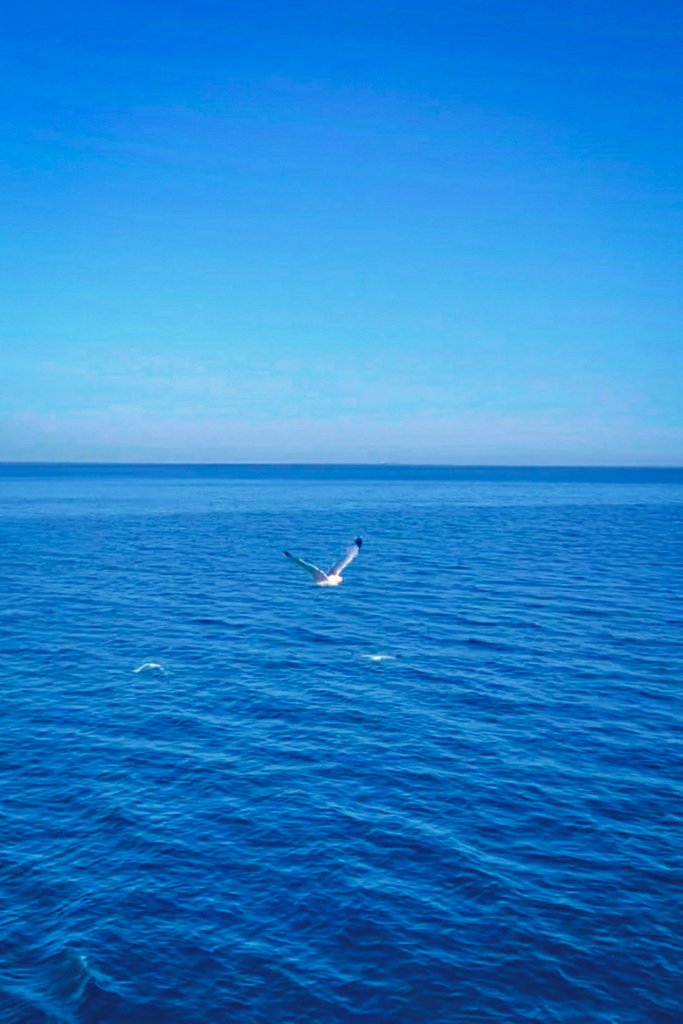 #blue #sea

Serenity.