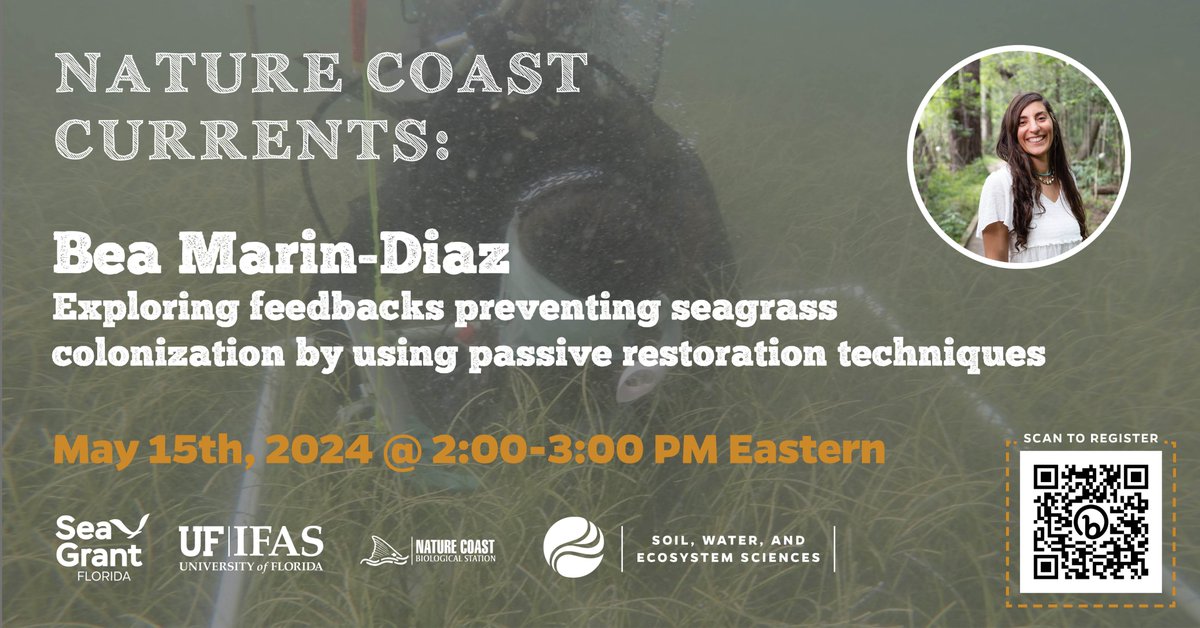 Save the date! Join us on May 15th @ 2PM to learn more about how faunal bioturbation can prevent #seagrass colonization in this webinar by UF Environmental Engineering Postdoctoral Researcher Dr. Bea Marin-Diaz. Register at 🔗 bit.ly/beadiaz24