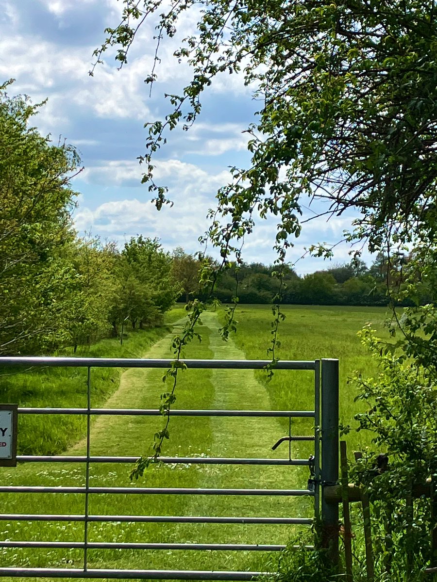 Smiley, sunny walk.