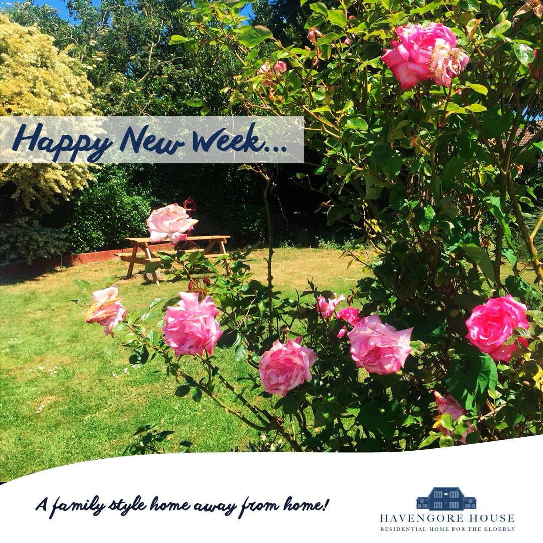 Happy New Week ❤️🌿
📍Havengore House
#Happyweek #havengorehouse