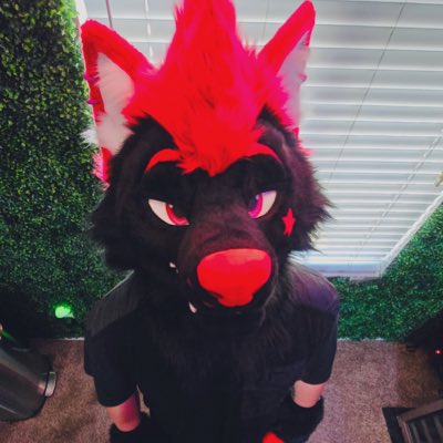 Womp Womp!! #furryfandom #fursuiter #FursuitEverday #NewProfilePic