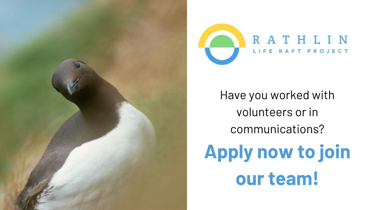 Would you like to join our team? We're recruiting for a part-time Community and #Volunteer Development Assistant! If you have experience in working with #volunteers or #communications, we'd love to hear from you @ConservCareers @EnvironmentJob_ @RSPBNI