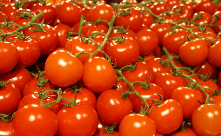 Los agricultores franceses “declaran la guerra” al tomate importado desde Marruecos hortoinfo.es/los-agricultor…