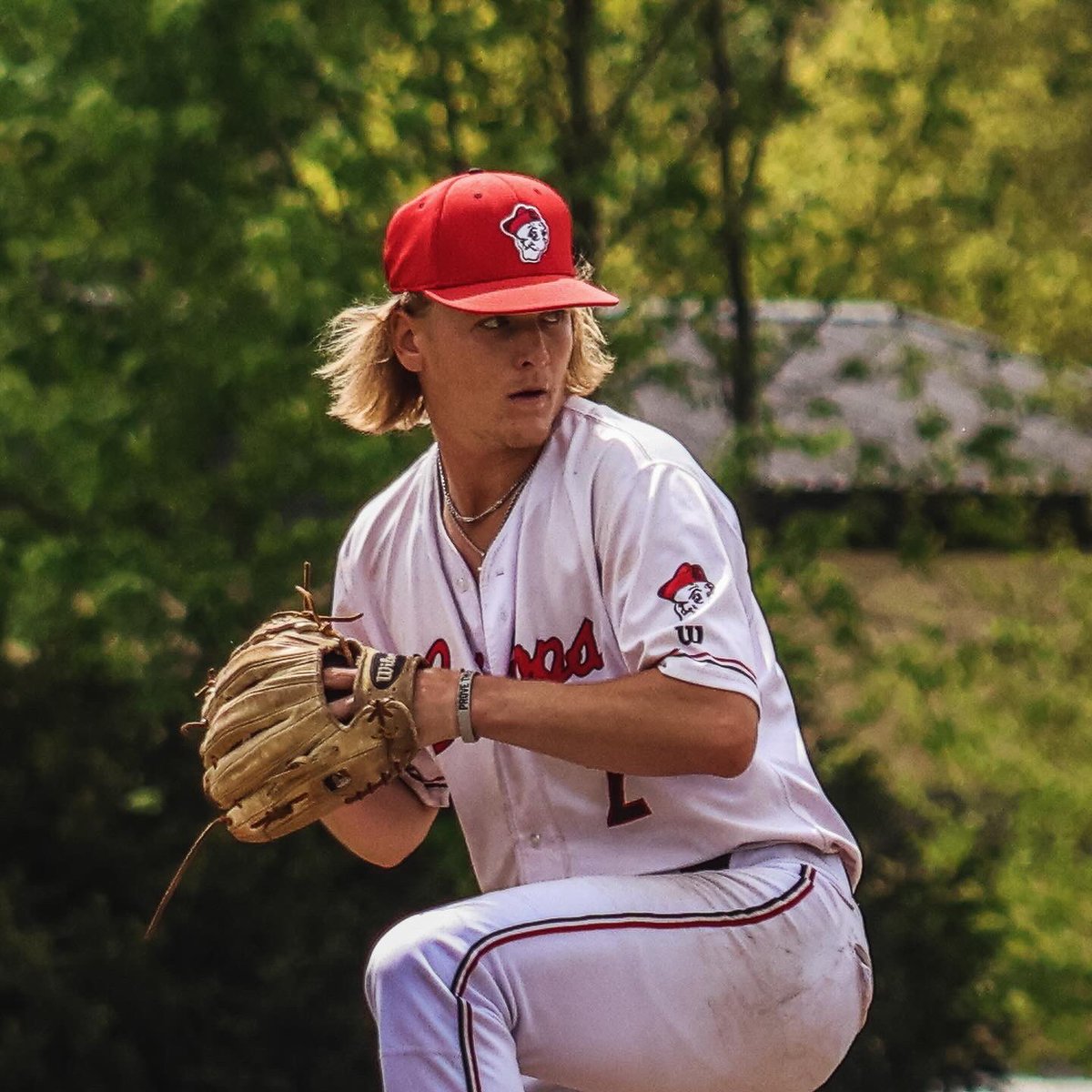 OWU_Baseball's tweet image. Senior Day #RollShops