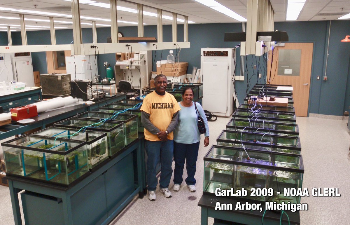 SolomonRDavid's tweet image. FIFTEEN YEARS @TheGarLab!!!

Grateful for my parents’ support and having them visit various iterations of #GarLab from my first experiments @NOAA_GLERL @UMSEAS (2009) to @NichollsBiology (2018) and now @UMNFWCB!