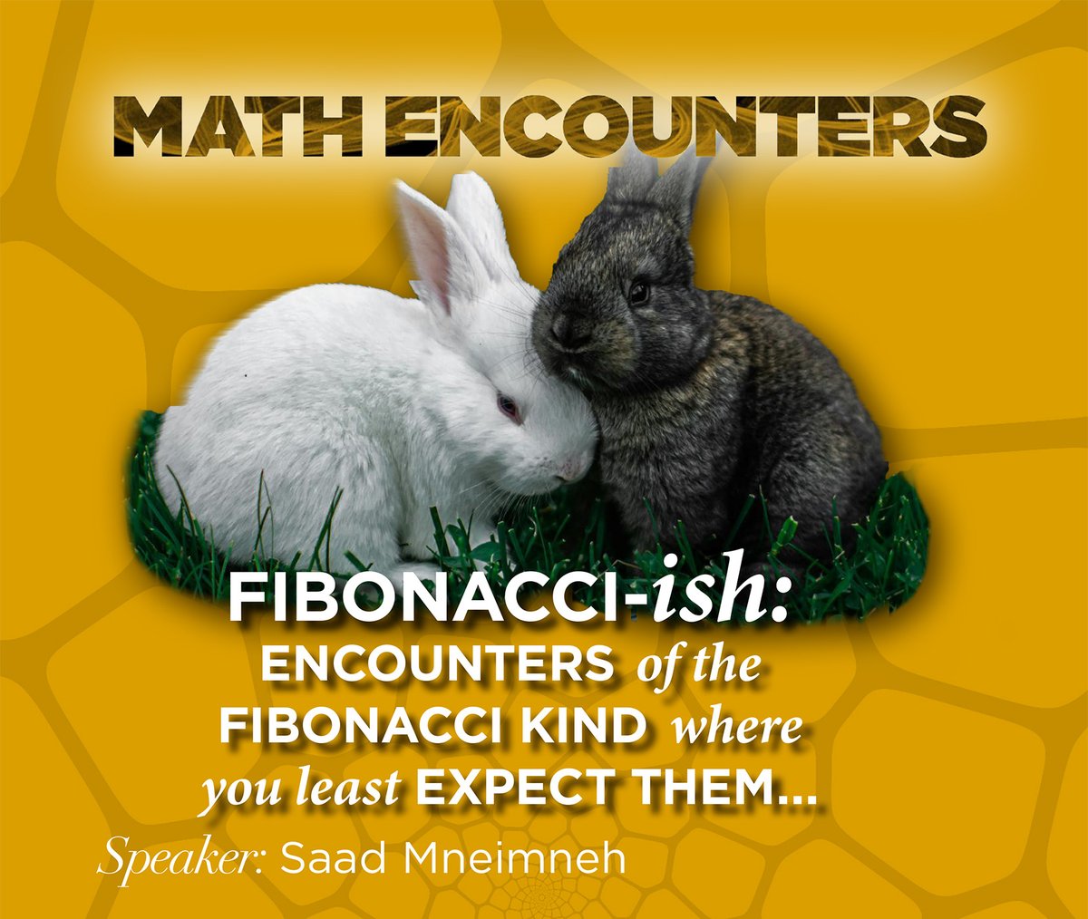 Why does Fibonacci-like behavior emerge in simple, unexpected math and computer science problems? Find out at Math Encounters, a free educational talk at MoMath on Wednesday, May 1. Attend the 4 or 7 pm session, and enjoy free refreshments. Register at momath.org/math-encounters.