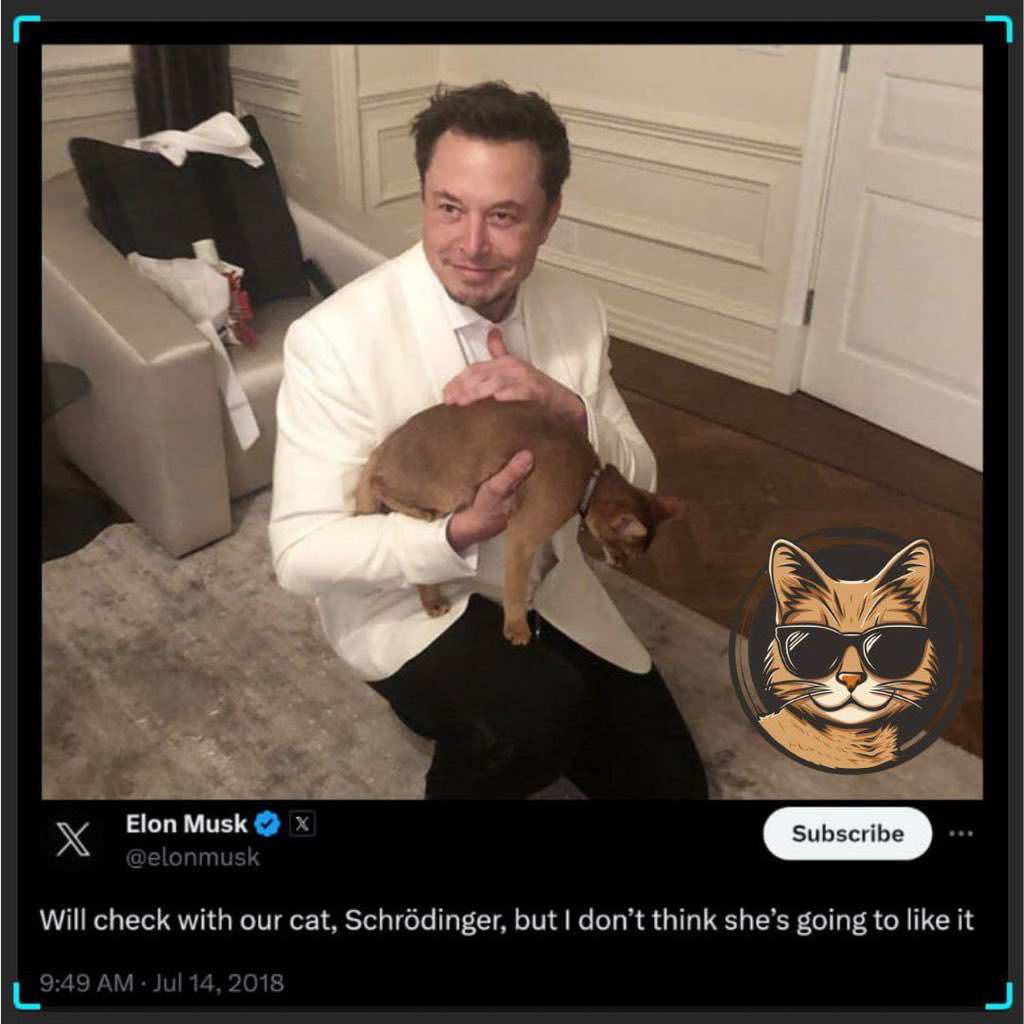 🚀 $ELONCAT - The Next 1000x Coin on Solana? 🐱 Ride the CAT coin trend with ELONCAT, inspired by Elon Musk's feline friend, Schrödinger. ELONCAT isn't just another cute meme coin; it's innovating with a Solana trading bot, echoing $BONK's success, and Elon Musk's nod to…