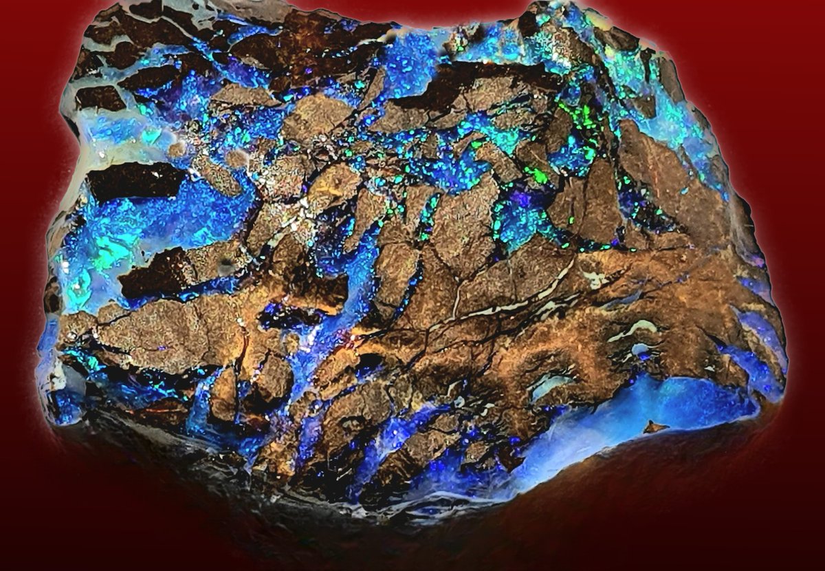 Boulder Opal Matrix - Australia 📷📷Dieter Rosenkranz