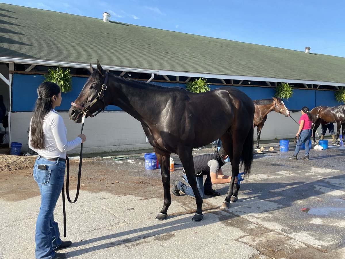 #KyDerby entrant Encino gets a polish