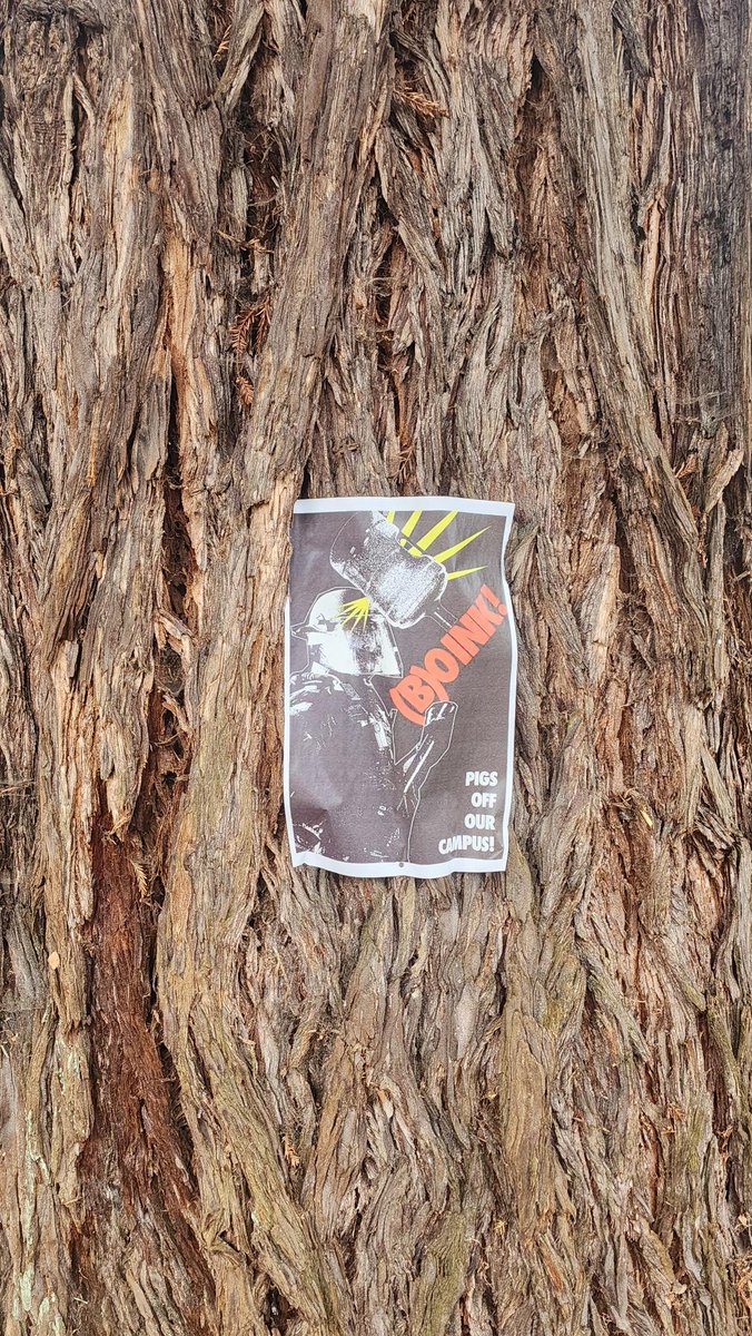 atlajala's tweet image. good morning, intifada. impossible to translate or sum up the experiences of the last few days but i'll try soon. all I can tell you now is, it feels like something new is building.