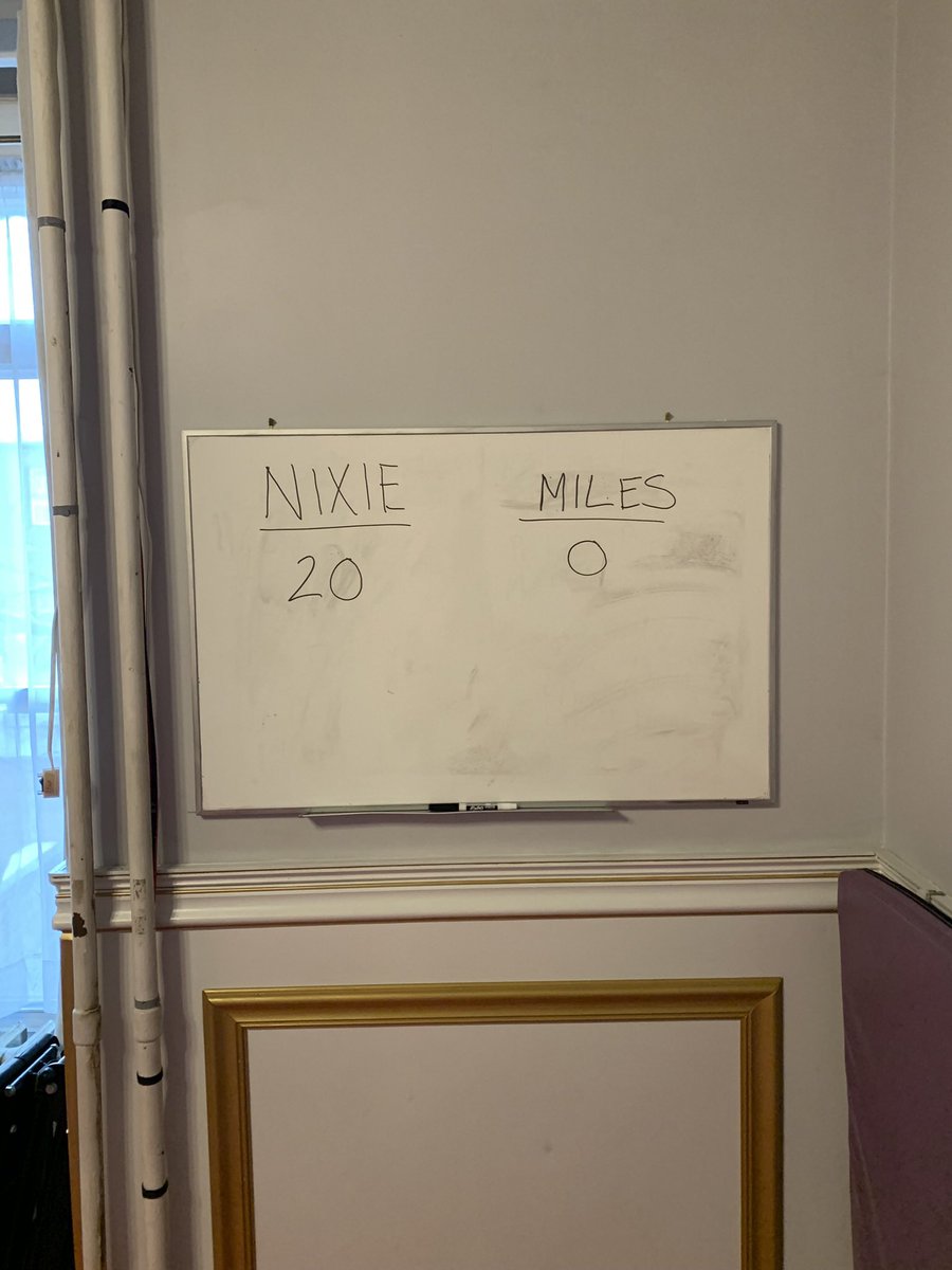 Miles Madden tweet media