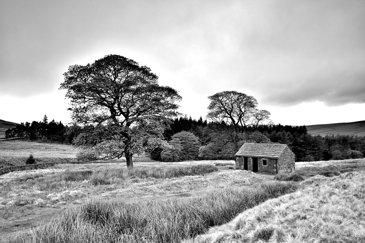 Farm building on the hills above Wildborclough in the #PeakDistrict this morning.
#blackandwhitephotography #landscapephotography #photography