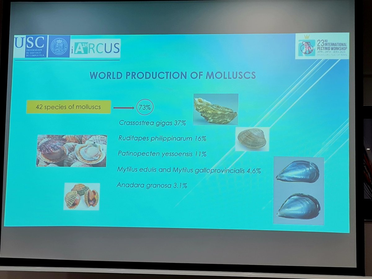 Now I know they say: 'The world is your oyster' - they dominate global mollusc production. But everyone knows that scallops are much cooler! #IPW2024 #BeMoreScallop