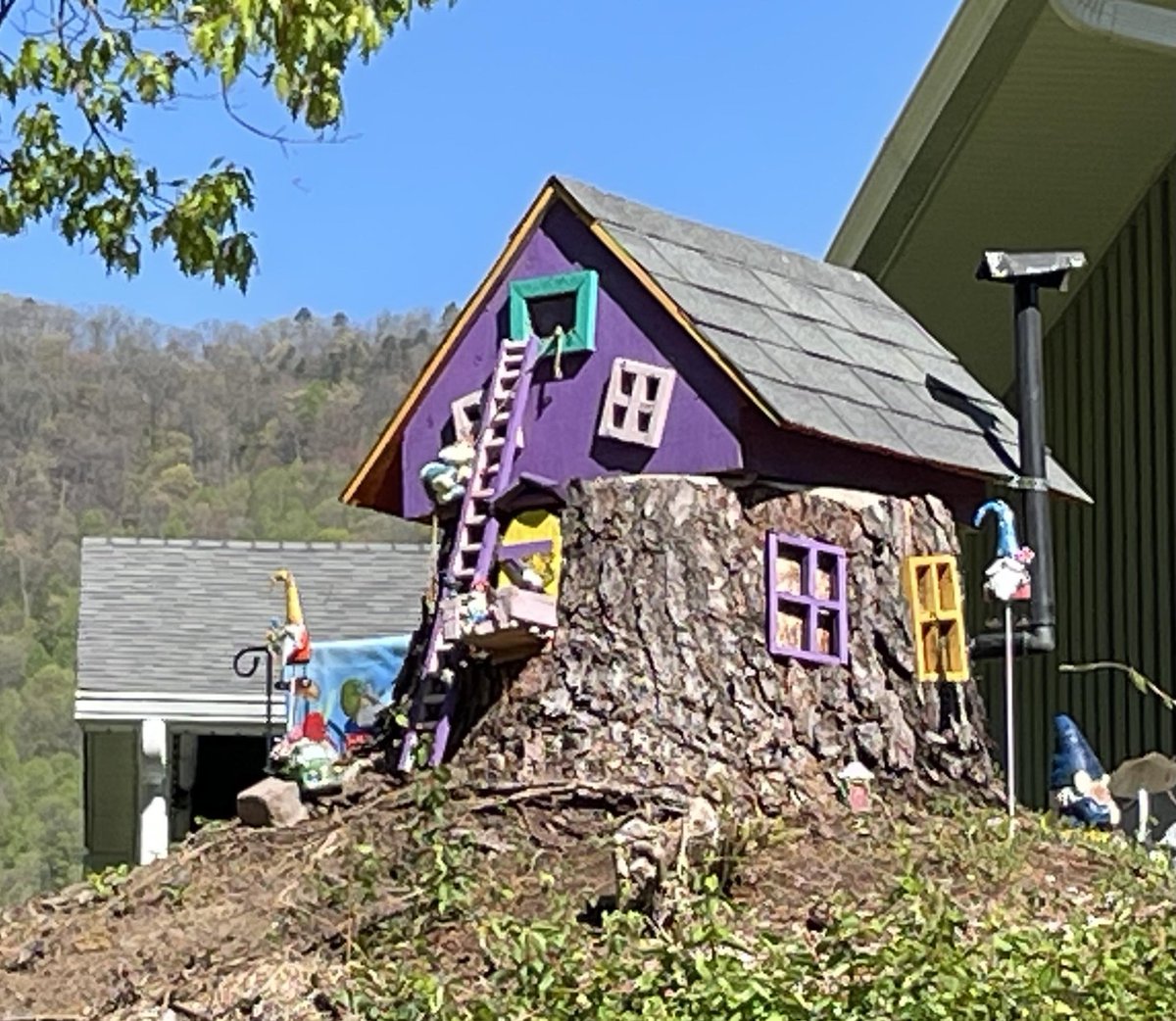 Betty Dizney wants to remind everybody that you may stumble upon fairy houses along the Greenbelt on your walks. Has anybody else discovered these?

#BigTimeFunSmallTownPackage
#loveva
#vaoutdoors
#gemofvirginia
#bsgpocketparadise