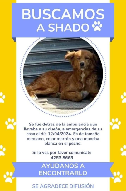 EmisorasUnidas's tweet image. #ServicioSocial