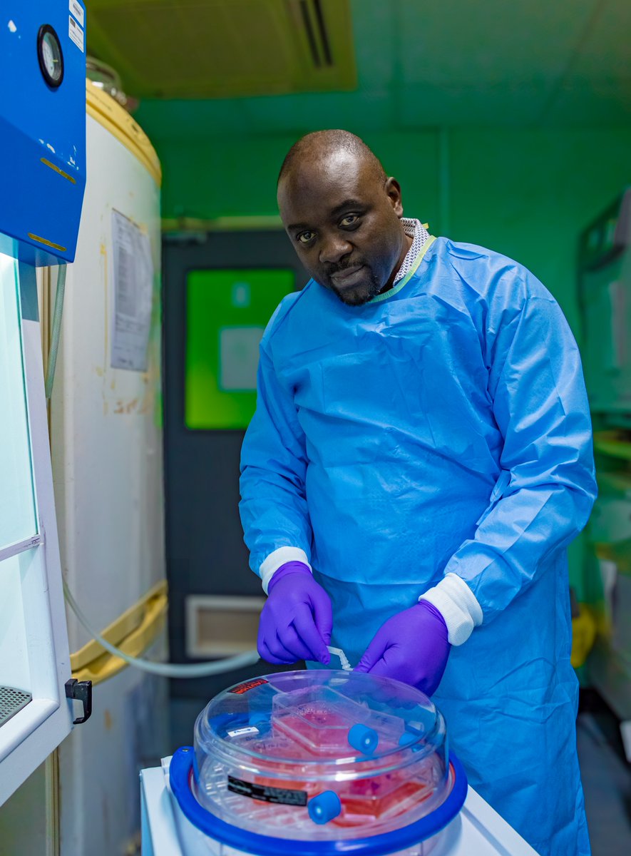In the spotlight🔦 Our Principal Investigator @AA_Ngwa was featured on @natAfrica1 to share more on his journey as a Genomic Epidemiologist & his #malaria research, particularly on how genomics & the environment influence the spread of the disease. More: tinyurl.com/399sz4ax