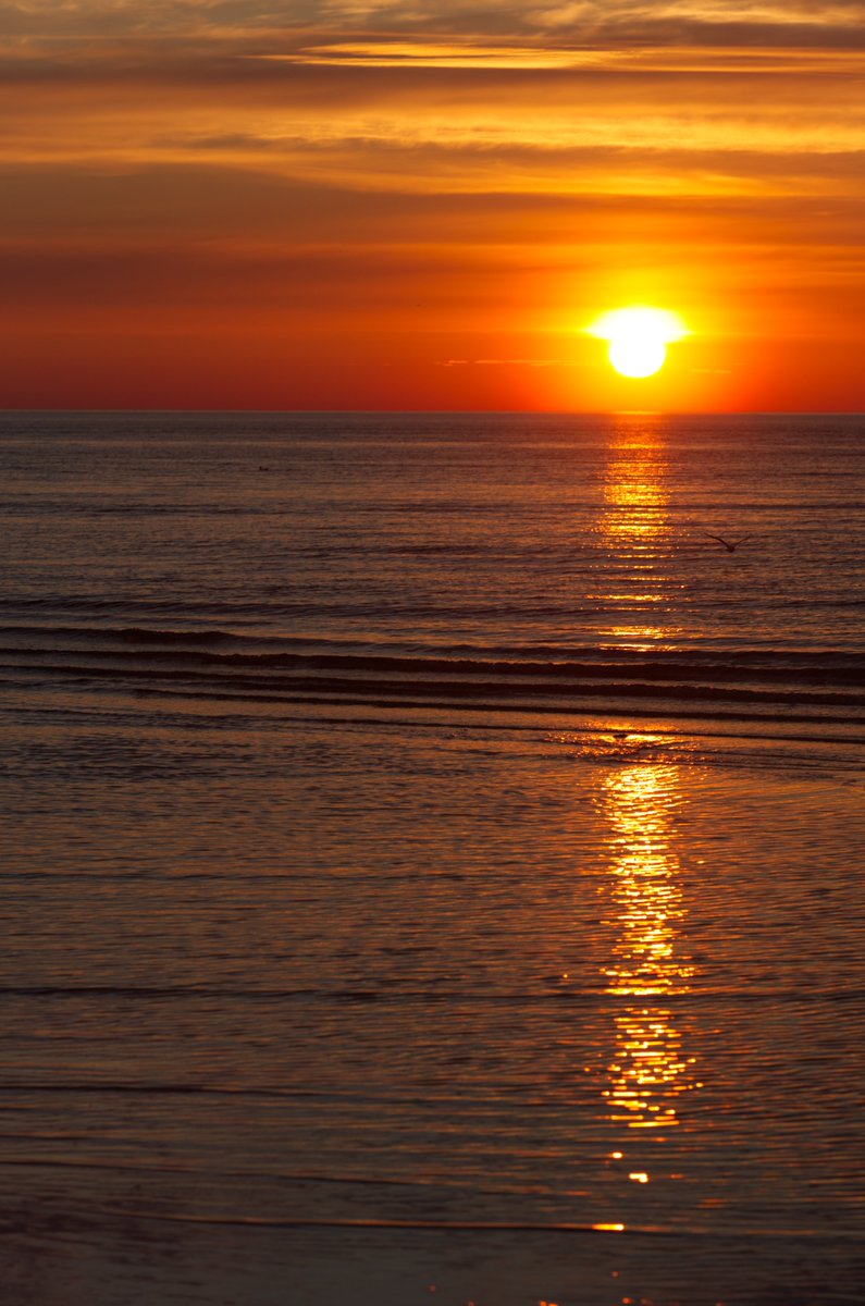 Evening Lights 😊
Baltic Sea
Sunset
Latvia 🇱🇻
#Latvia #BalticSea #Sunset #Sea #Sky #evening