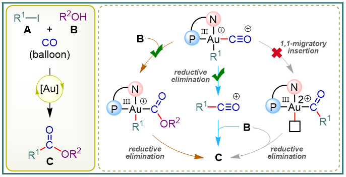 The Patil Group (@thepatilgroup) on Twitter photo Check out our recent work on "Gold-Catalyzed Alkoxy-Carbonylation of Organohalides," which is now available at <a href="/ChemRxiv/">ChemRxiv</a>. Great collaboration with Prof. <a href="/vincent_gandon/">Vincent Gandon</a>
<a href="/VivekBhoyare/">Vivek W. Bhoyare</a> <a href="/AsishBera01/">Asish Bera</a> <a href="/chm_iiserb/">Dept of Chemistry, IISER Bhopal</a> <a href="/iiserbhopal/">IISER Bhopal</a>
Link - go.shr.lc/3UAwzao Check out our recent work on "Gold-Catalyzed Alkoxy-Carbonylation of Organohalides," which is now available at <a href="/ChemRxiv/">ChemRxiv</a>. Great collaboration with Prof. <a href="/vincent_gandon/">Vincent Gandon</a>
<a href="/VivekBhoyare/">Vivek W. Bhoyare</a> <a href="/AsishBera01/">Asish Bera</a> <a href="/chm_iiserb/">Dept of Chemistry, IISER Bhopal</a> <a href="/iiserbhopal/">IISER Bhopal</a>
Link - go.shr.lc/3UAwzao