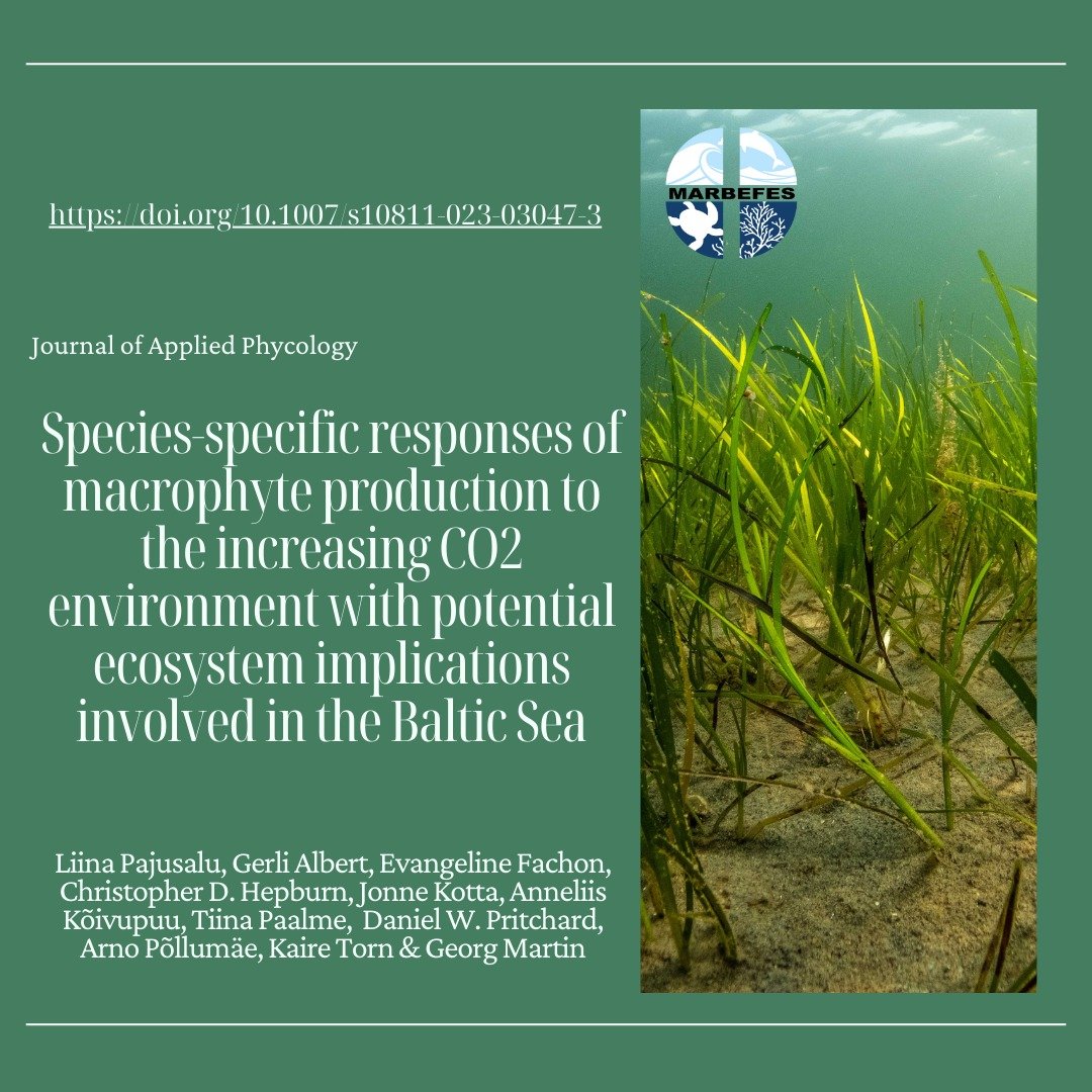 The next work we highlight today investigates species specific macrophyte production in the Baltic! For a link, click here -> doi.org/10.1007/s10811…