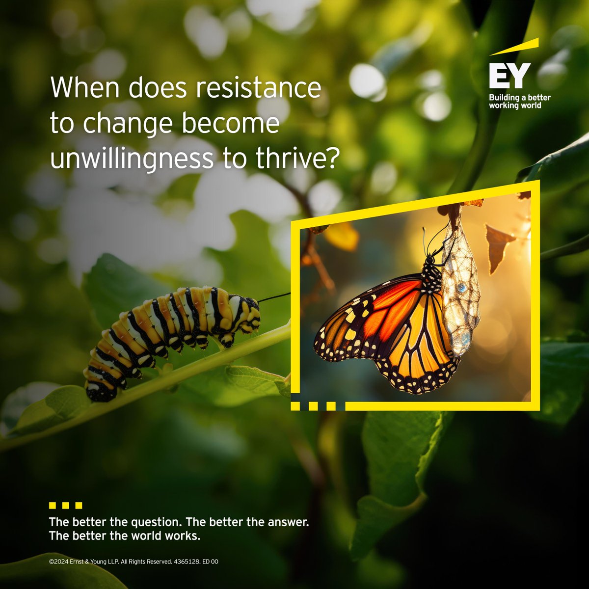 Change is hard. For an organization, resistance to change can hinder progression to growth. Read our latest article to learn how coaching can remove obstacles and accelerate success. ✏️ow.ly/jhzh30sBXF8

#EYCanada #BetterWorkingWorld