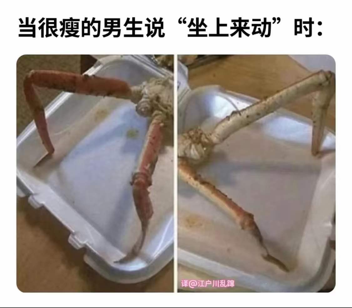 仓鼠飞轮🐹 tweet media