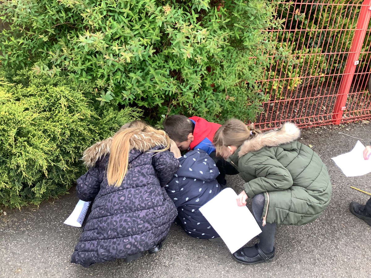 This afternoon #class12tpa went outside to explore micro habitats. We carefully lifted logs to find lots of small creatures living underneath them and explored the playground to see what other micro habitats we could fine. #sciencetpa