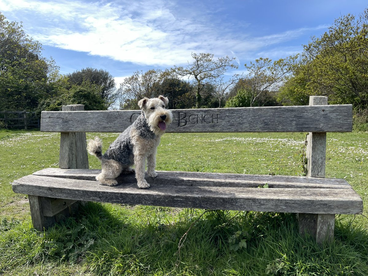 I think you’ll find that says ‘Archie’s Bench’ 🐾😃